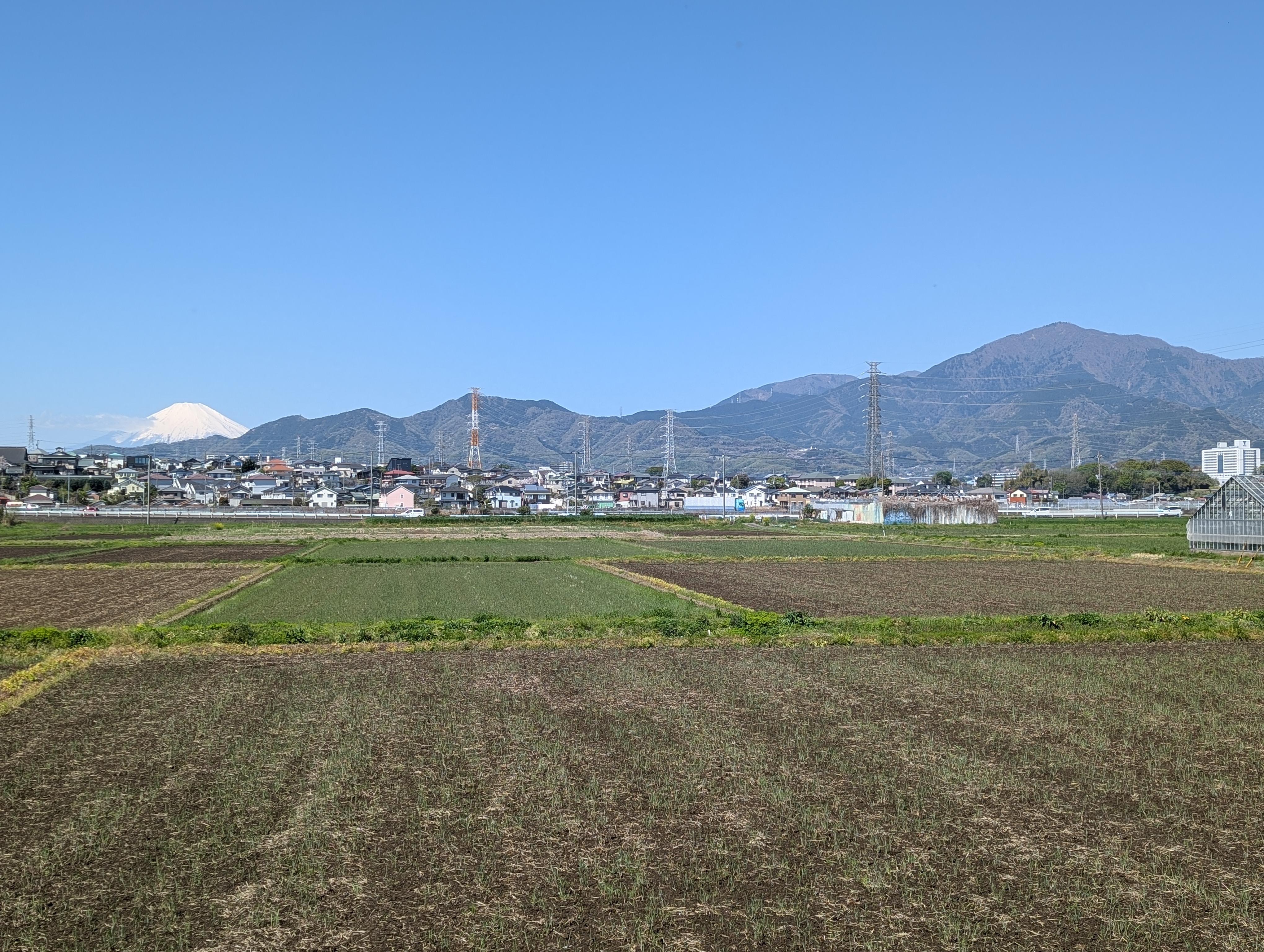 丹沢・大山 ― 雨降山と、この参詣のもう半分