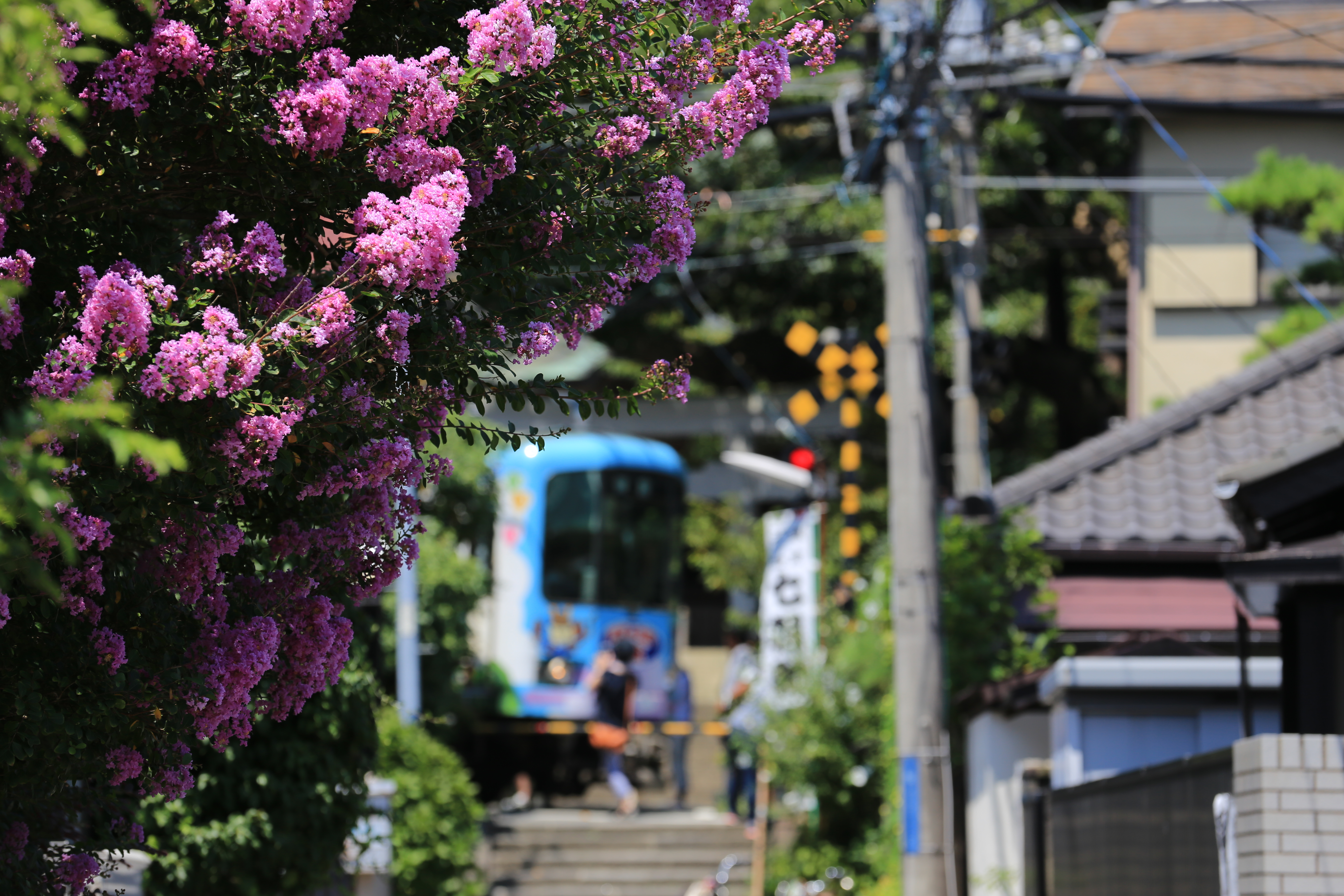 御霊神社 ― 鳥居の前を走る電車