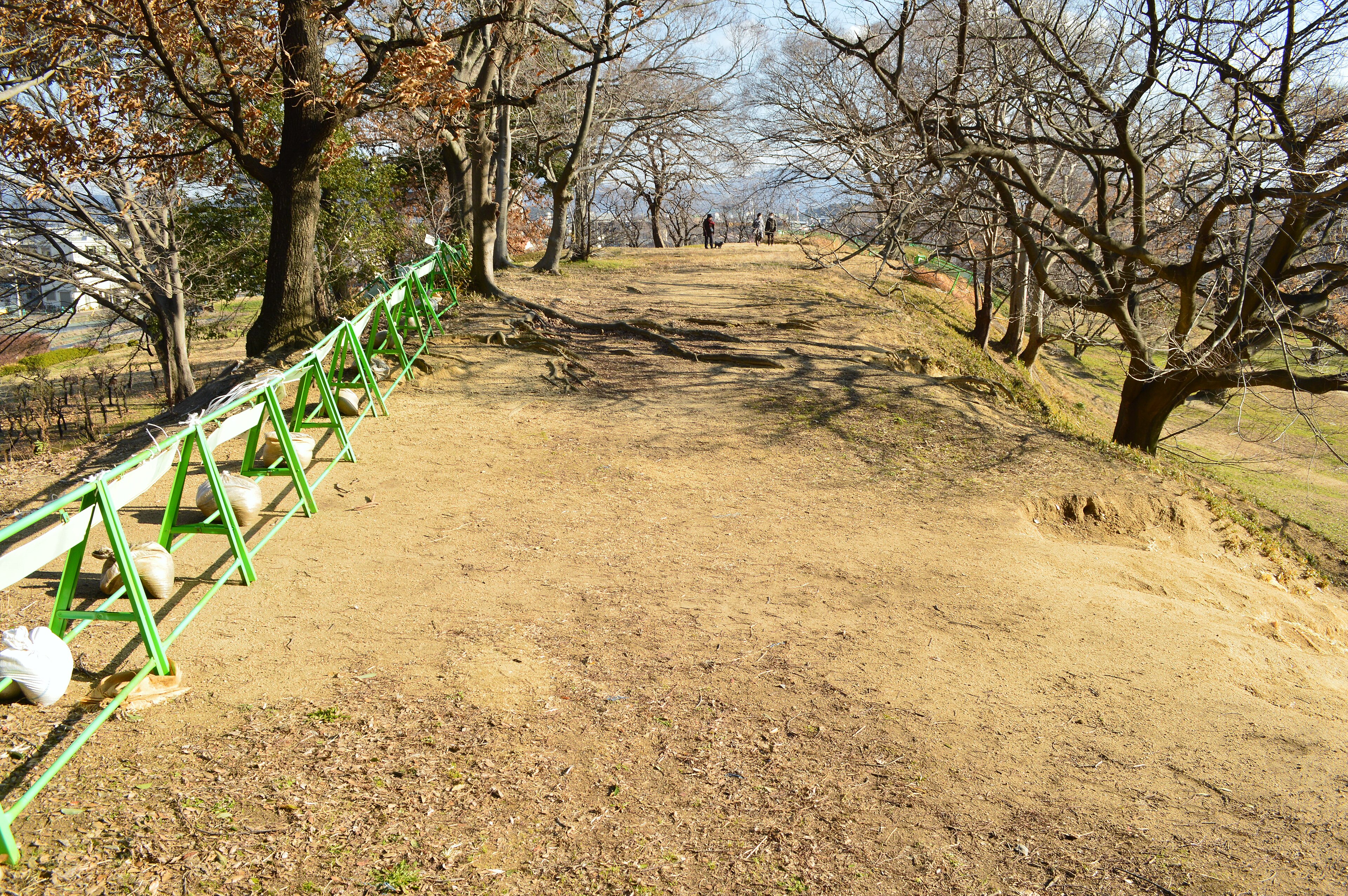 津堂城山古墳 ― 古市で最初に築かれた大王墓