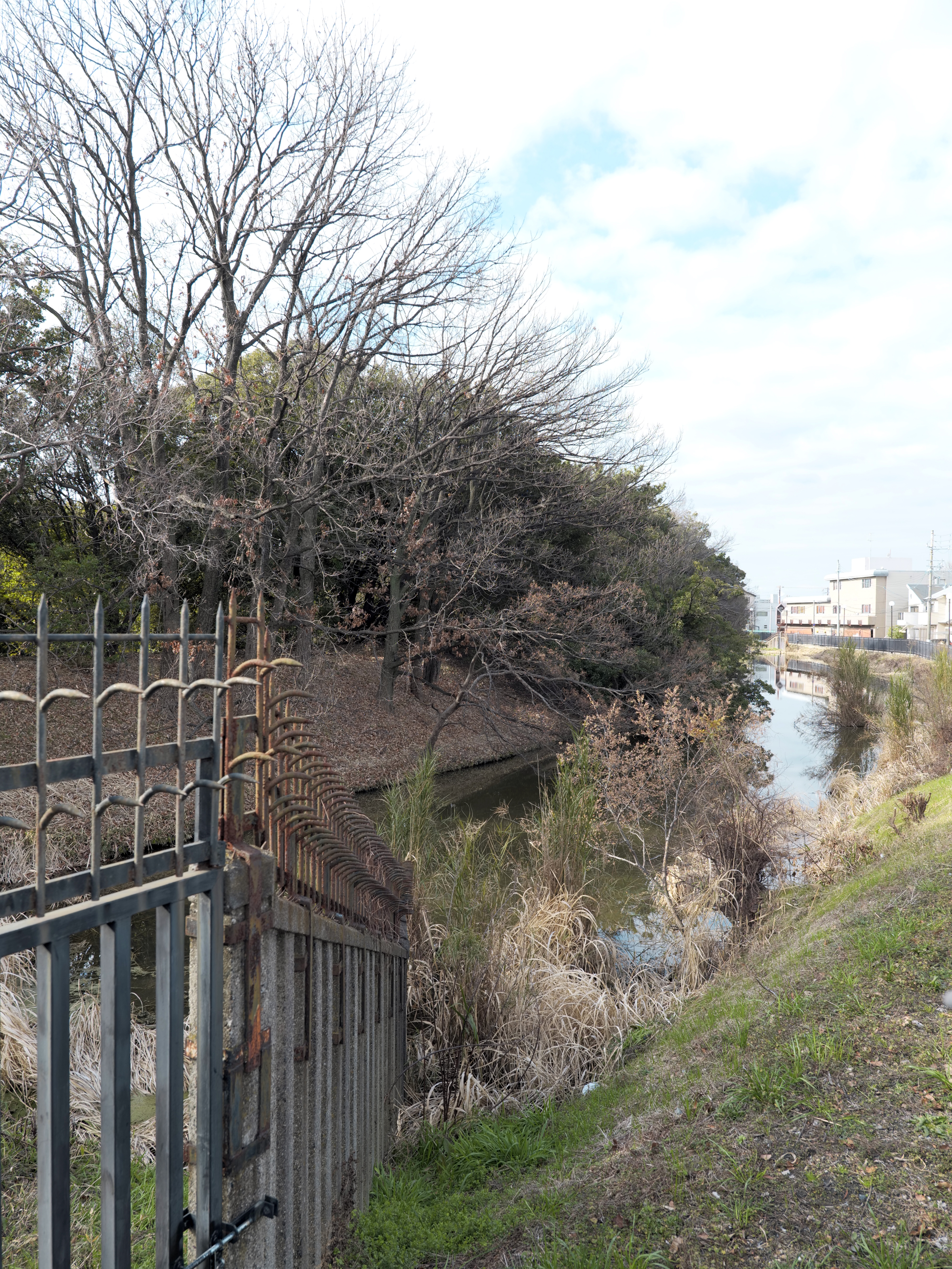 仁徳陵を囲む陪塚と中小墳 ― 墳丘を支えた小さな墓たち