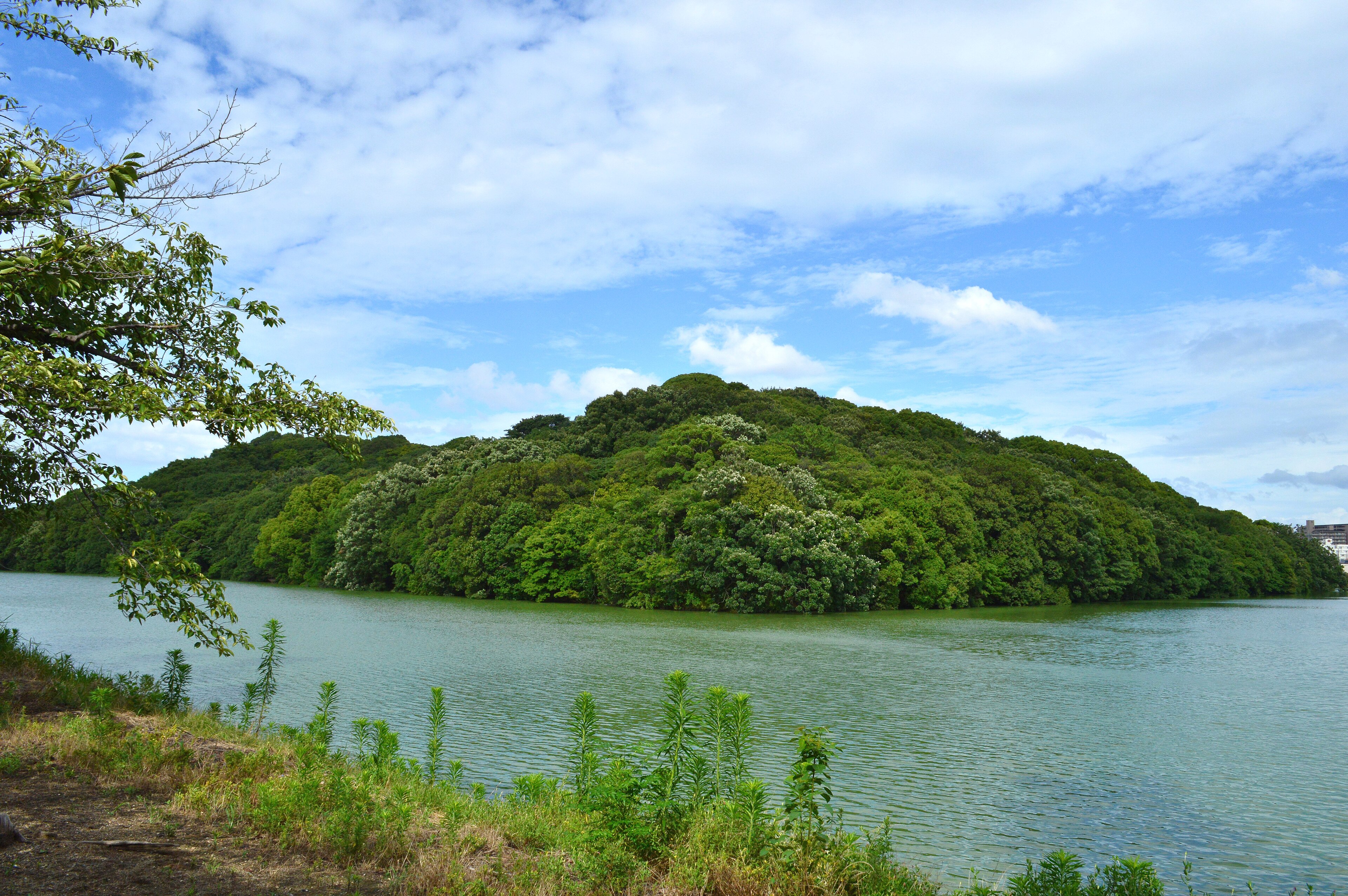 履中天皇陵古墳（上石津ミサンザイ古墳）と寺山南山・七観音古墳