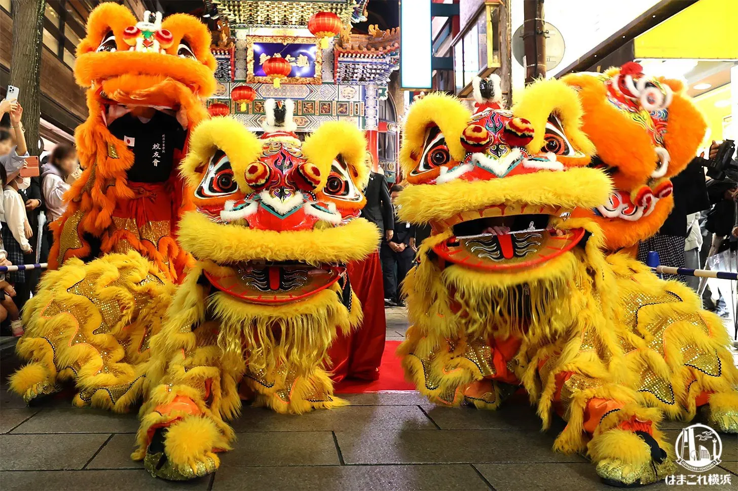 春節の熱狂：新年を祝う伝統と獅子舞の舞