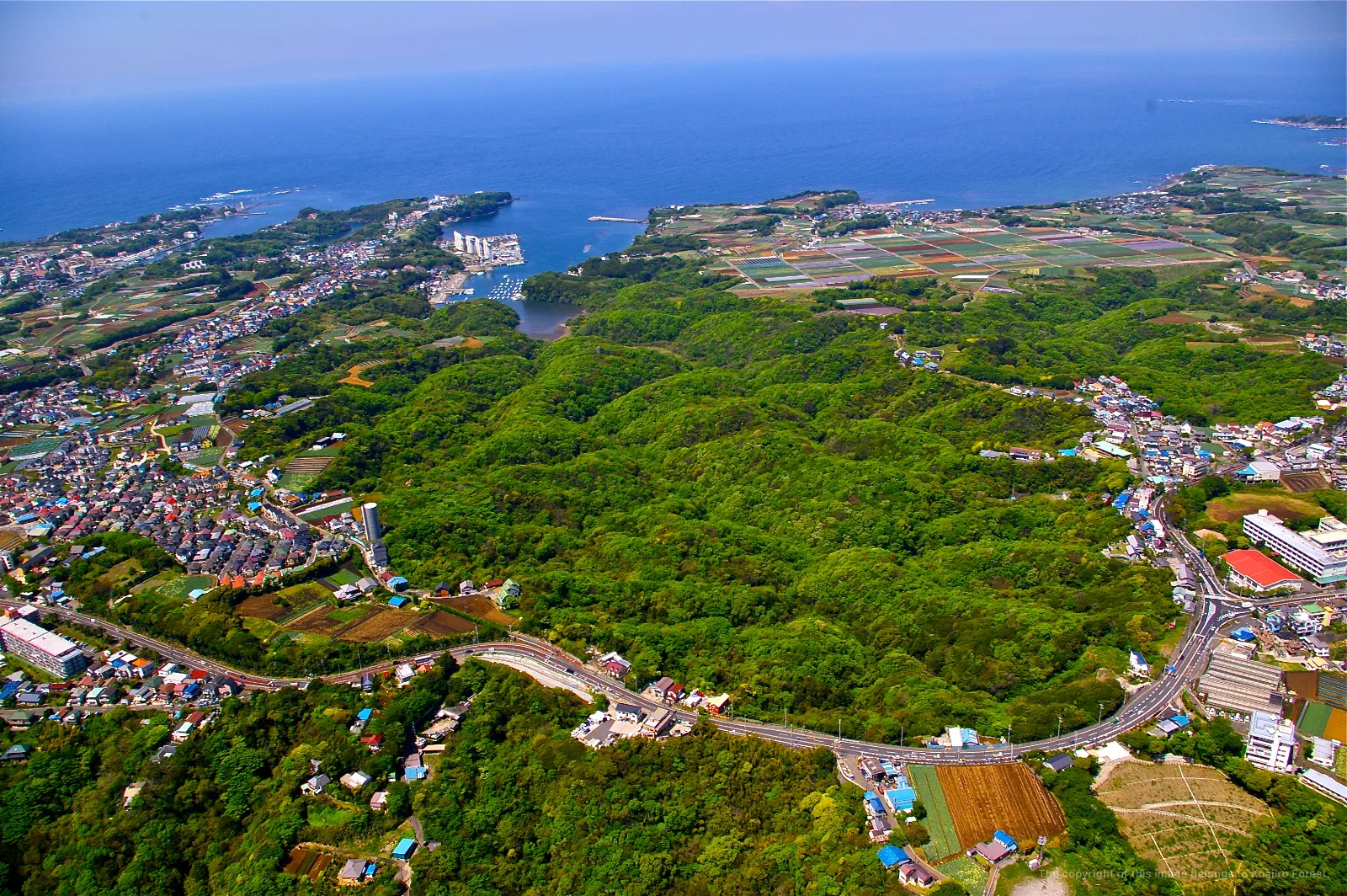 고아지로에서 세계로 — 유역 사고의 산림 보전, 리프 포레스트