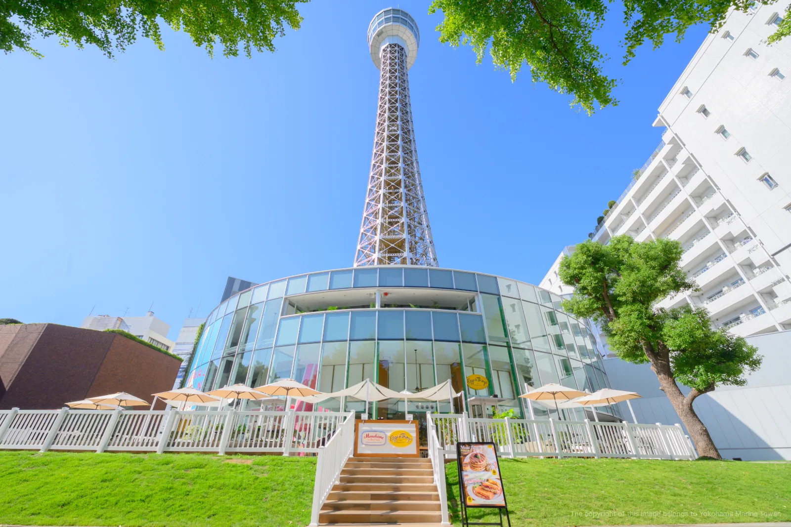 Welcome to Yokohama Marine Tower — The Beginning of a Journey of Questions at "Yokohama 360°"