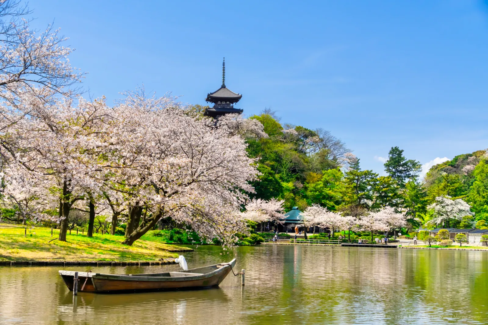Sankeien Garden — Why Are So Many Historic Buildings Gathered Here?
